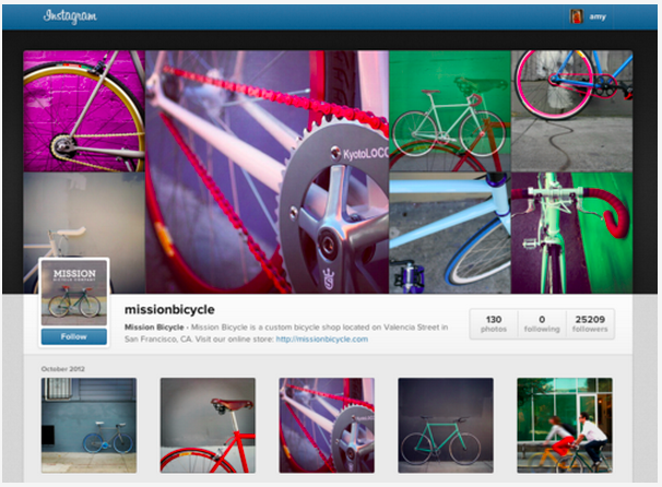 Instagram Profiles