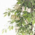 List management Money tree