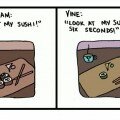 Social Media Humor