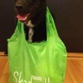Prudence in her Skadeedle swag