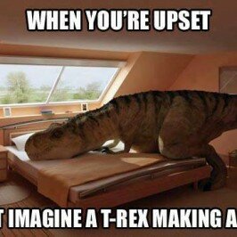Feeling Upset?