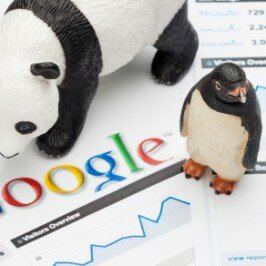 Stop Worrying About Google Updates