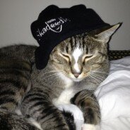 Show Us Your Skadeedle Style – Cat in a Hat!
