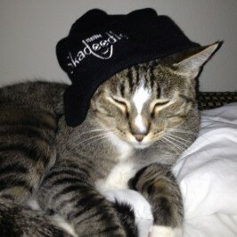 Show Us Your Skadeedle Style – Cat in a Hat!