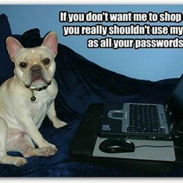 Are Your Passwords Going to the Dogs?