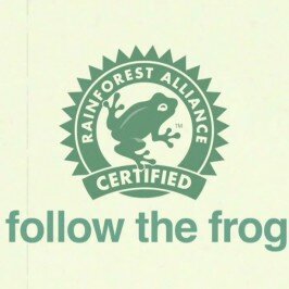 Follow the Frog