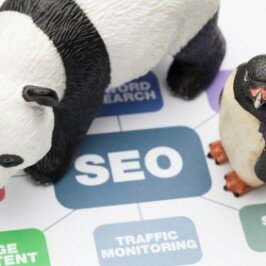 Create SEO Goodness For Your Site Now