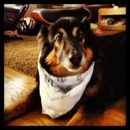 Skadeedle Style – Who Let the Dogs Out?